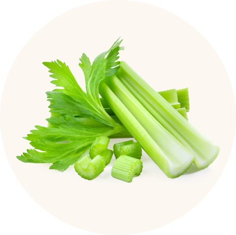 Celery